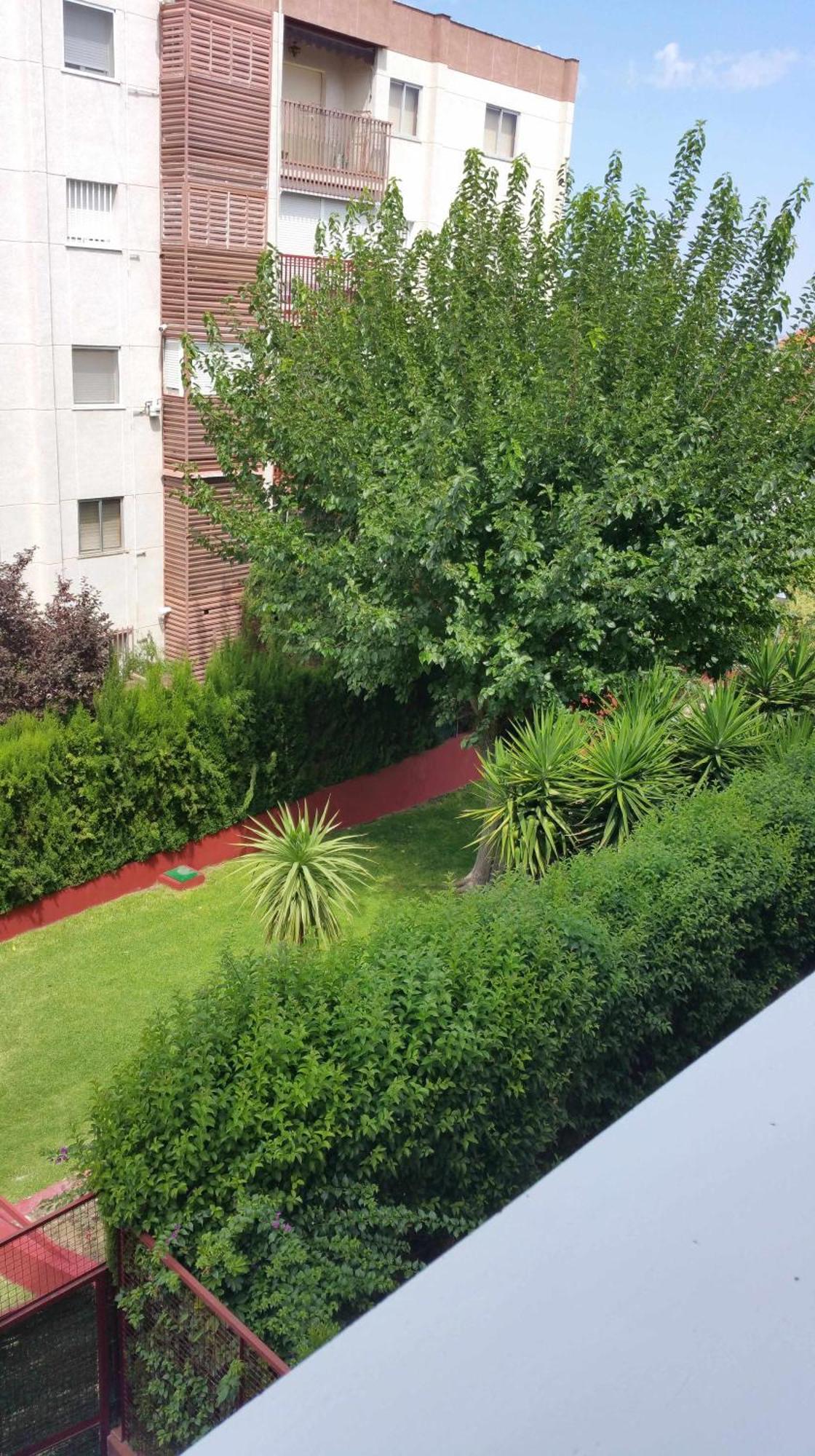 Sauces Parking Gratis Climatizado Διαμέρισμα Jaén Εξωτερικό φωτογραφία